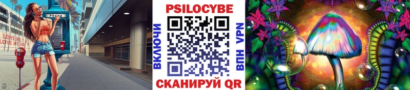 Галлюциногенные грибы MAGIC MUSHROOMS  Купить  Катайск 